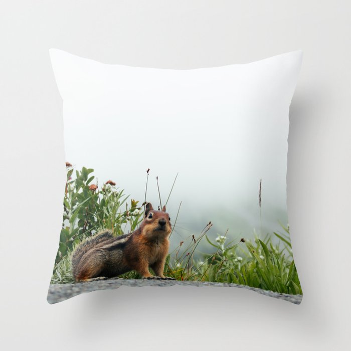Throw Pillow