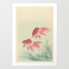 Two veiltail goldfish - Ohara Koson (1900 - 1936) Art Print | Veil, Veils, Water, Painting, Koson, Nature, Veiltail, Naturalworld, Printmaker, Goldfish 