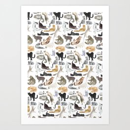 cats Art Print