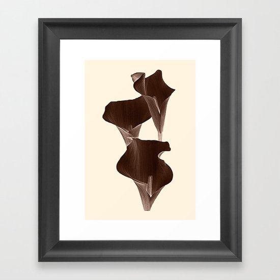 Brown Calla Lilly. Framed Art Print