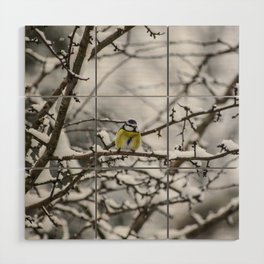 Winter Bird Wood Wall Art