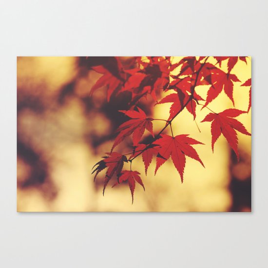 Indian Summer 3 Canvas Print