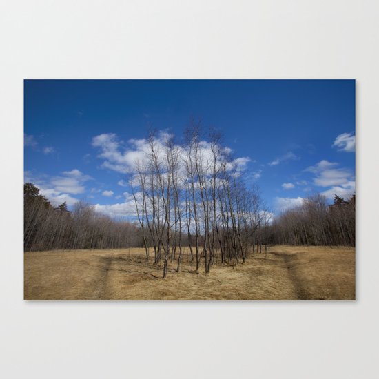 Fall Canvas Print