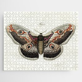 Lady Jane Moth Butterfly Jigsaw Puzzle