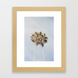 Palm Framed Art Print