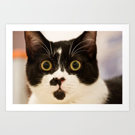 Pussy cat, pussy cat Art Print