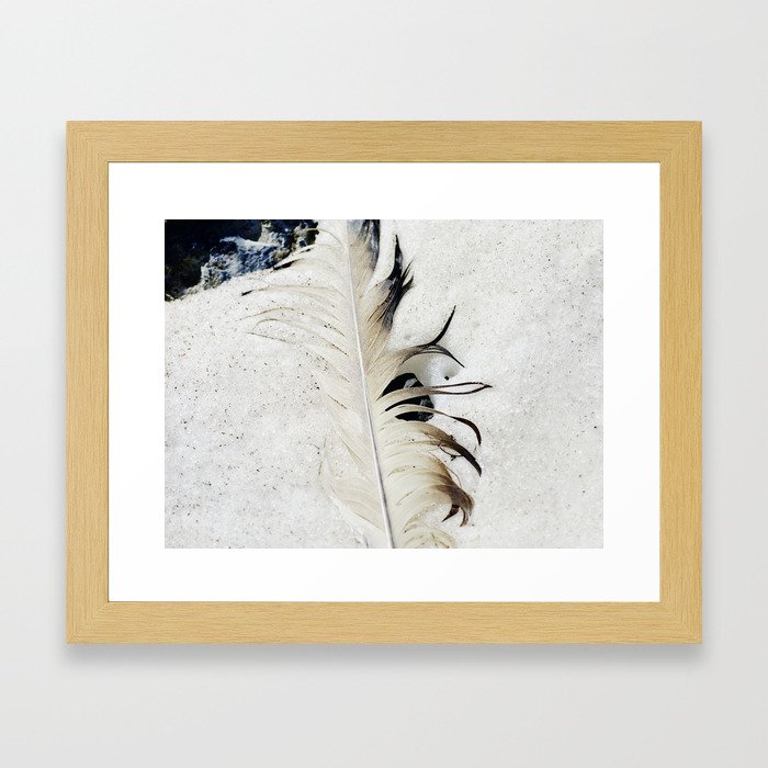 Feather in snow Framed Art Print