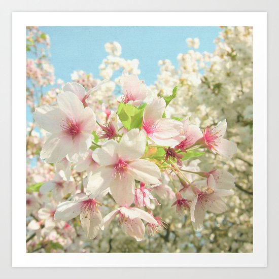 Spring Blossom Art Print