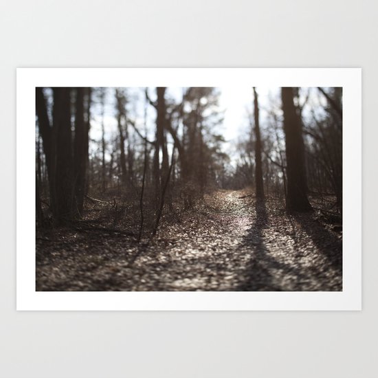 Afternon Light Art Print
