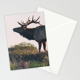 Elk Bull Stationery Card
