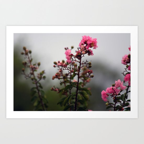 Rain Drops II Art Print