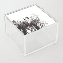 Three Crows Acrylic Box