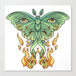Moth to a Flame Canvas Print