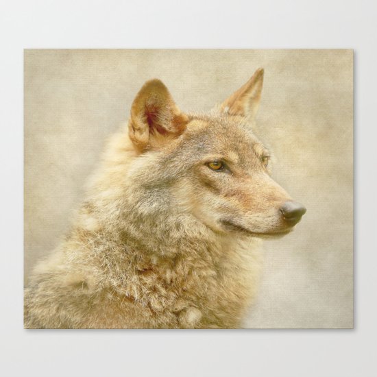 Wolf Canvas Print
