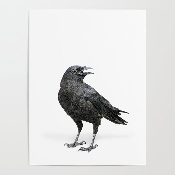 Black Crow Poster