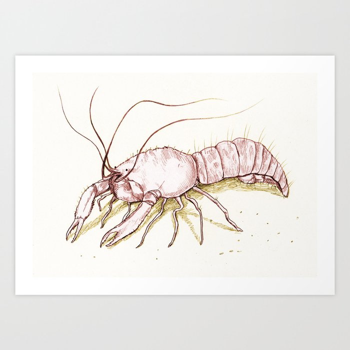 The Enigmatic Lobster Art Print