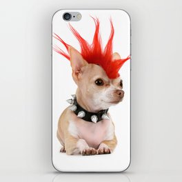 Punk Chihuahua iPhone Skin