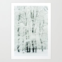 frosted Art Print
