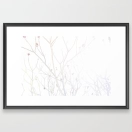 Winter Light Framed Art Print
