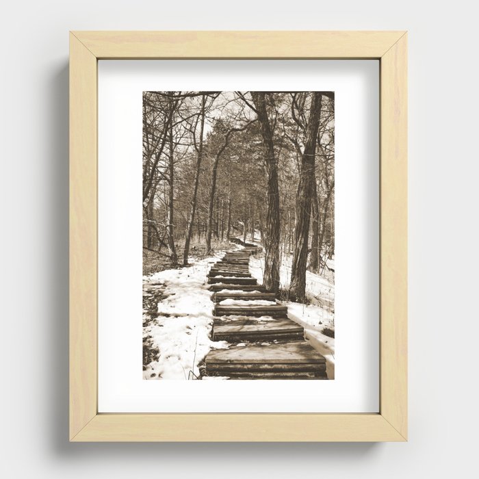 Forest Stairs | Sepia Photography Recessed Framed Print