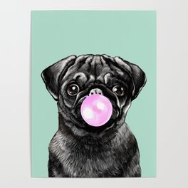 Bubble Gum Popped on Black Pug (1 in series of 3) Poster