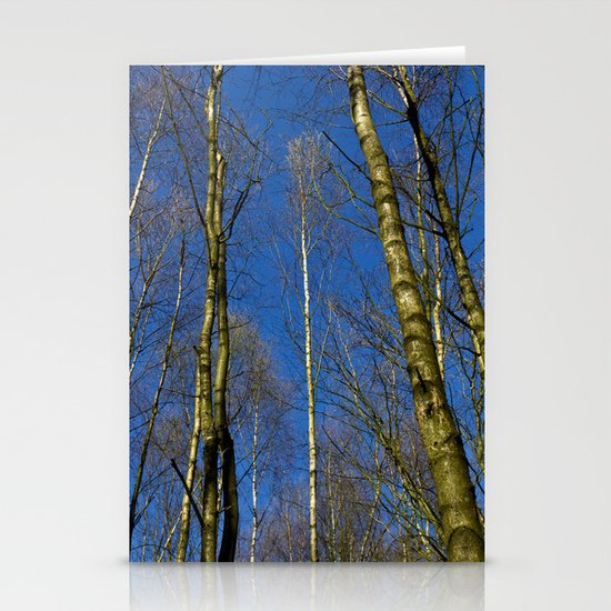 The Still forest Stationery Cards
