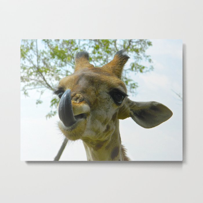 Africa's French Kiss Metal Print