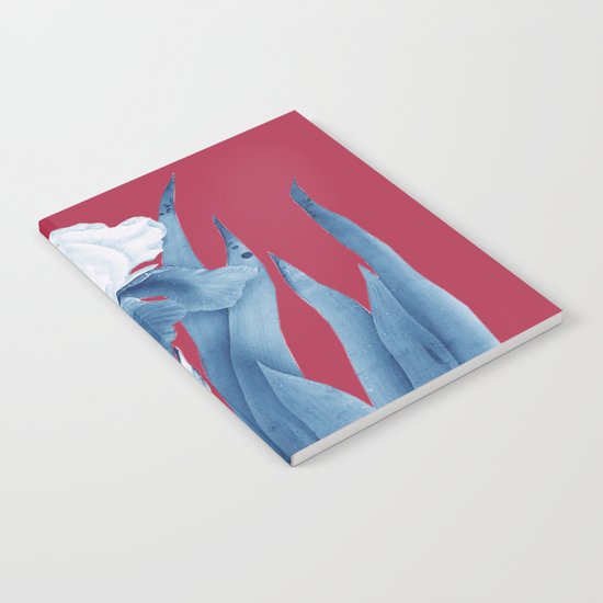 Iris 2 Notebook