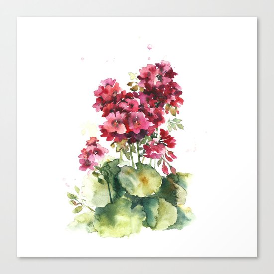 Watercolor geranium flowers Canvas Print