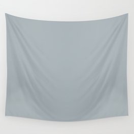 Light Pastel Blue Solid Color Pairs with Sherwin Williams Haven 2020 Forecast Colors Stardew SW9138 Wall Tapestry
