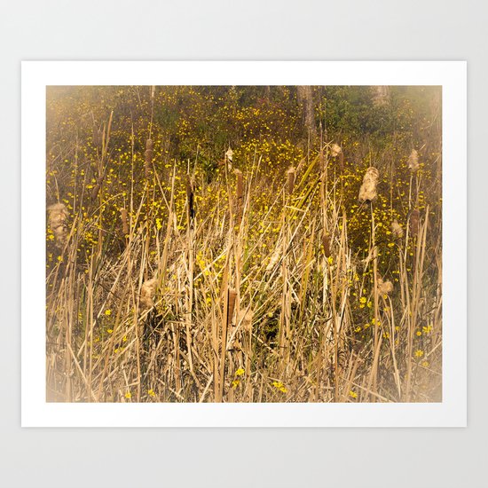 Cattails Art Print