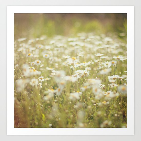 Daisy Chains Art Print