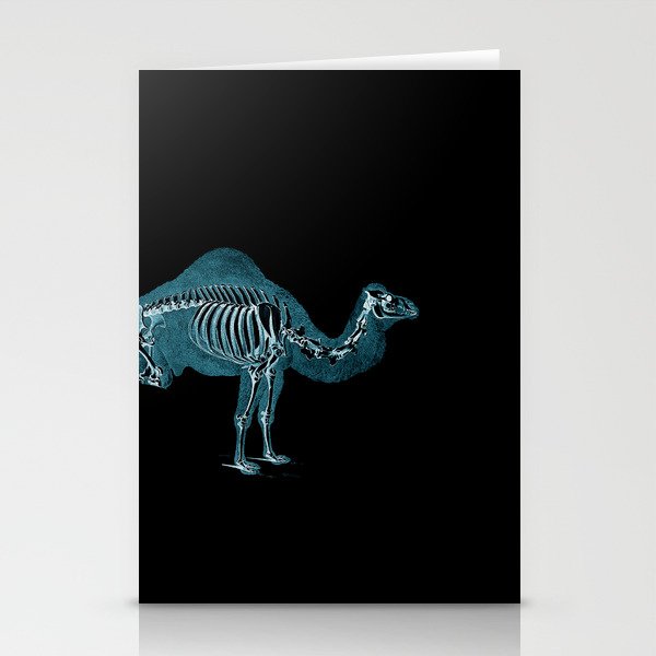 Camel X-ray - Camel Print - Camel Wall Art - Animal X-ray Stationery Cards