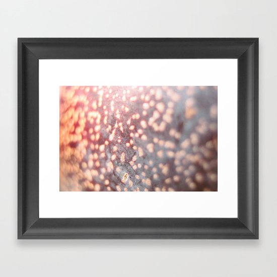 Plumcot Framed Art Print
