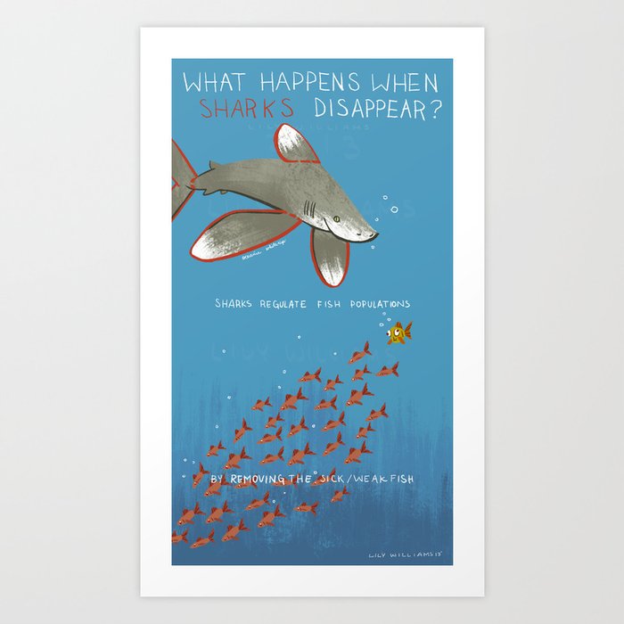 What Happened When Sharks Disappear (White Tip) Art Print