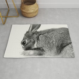 Rabbit Animal Photography Rug