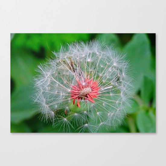 flower Canvas Print
