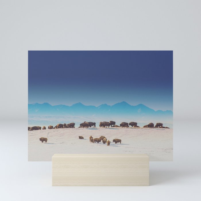 Blue Mountains Bison Mini Art Print