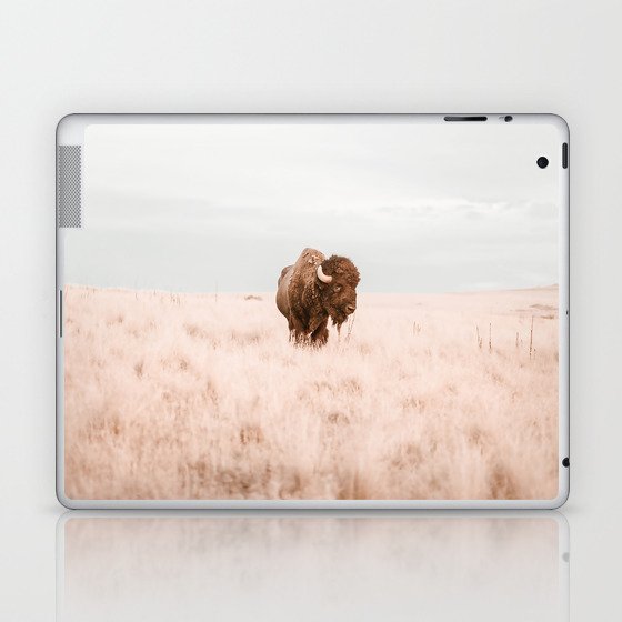 Wyoming Laptop & iPad Skin