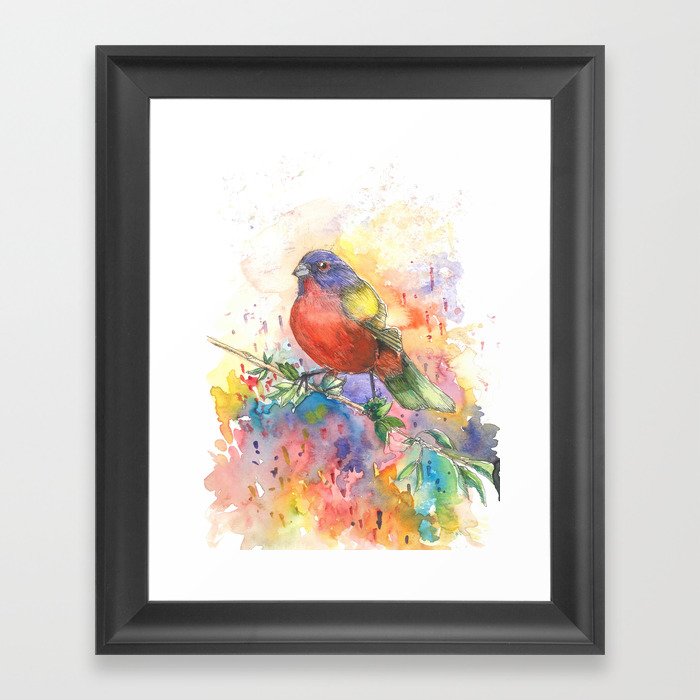 Colorful Bird Framed Art Print