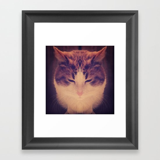 Symmetrical Feline Framed Art Print