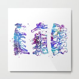 Cervical Thoracic Lumbar Vertebrae Spine Colorful Watercolor Gift Metal Print