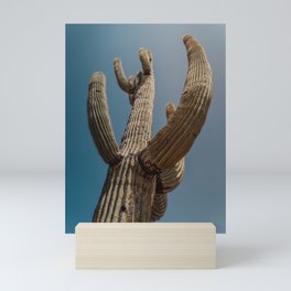 Cactus Makes Perfect - Arizona Mini Art Print