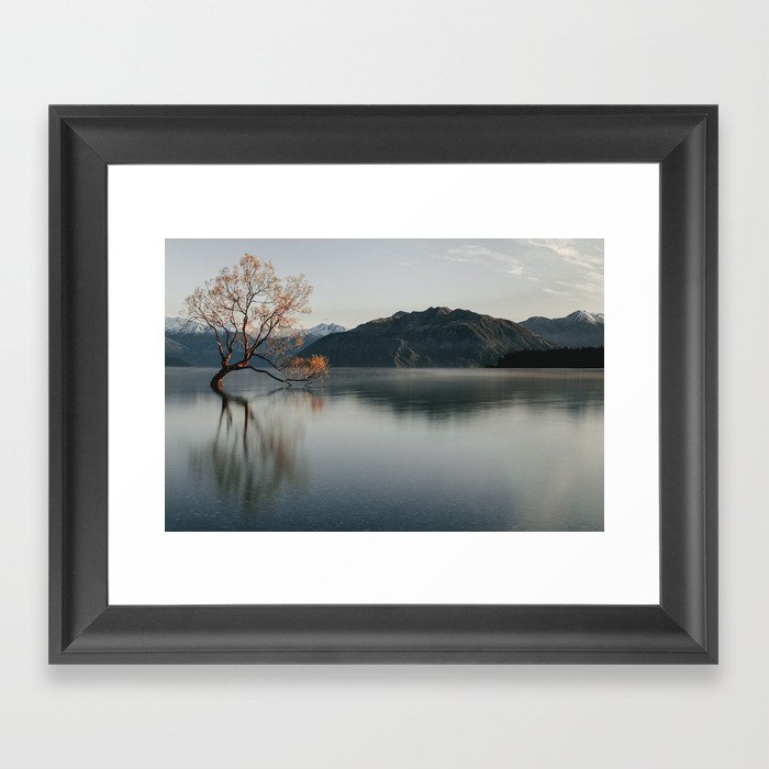 Wanaka Tree in New Zealand | Landscape Photography | Print Art Framed Art Print