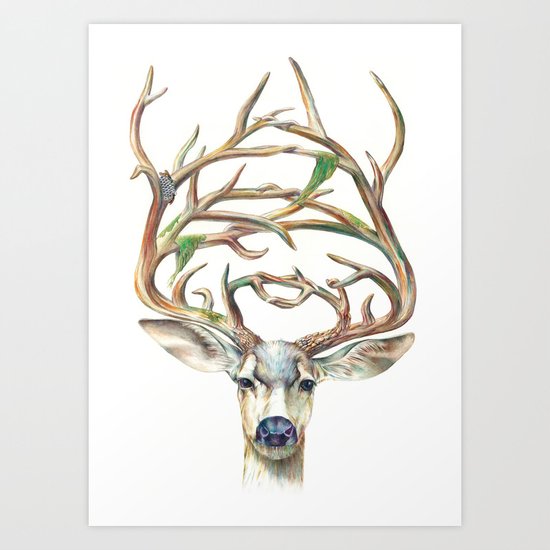 Buck Art Print