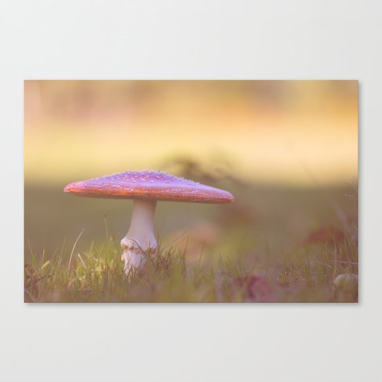 Fly agaric mushroom Canvas Print