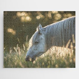 Icelandic horse grazing in the morning sun Jigsaw Puzzle