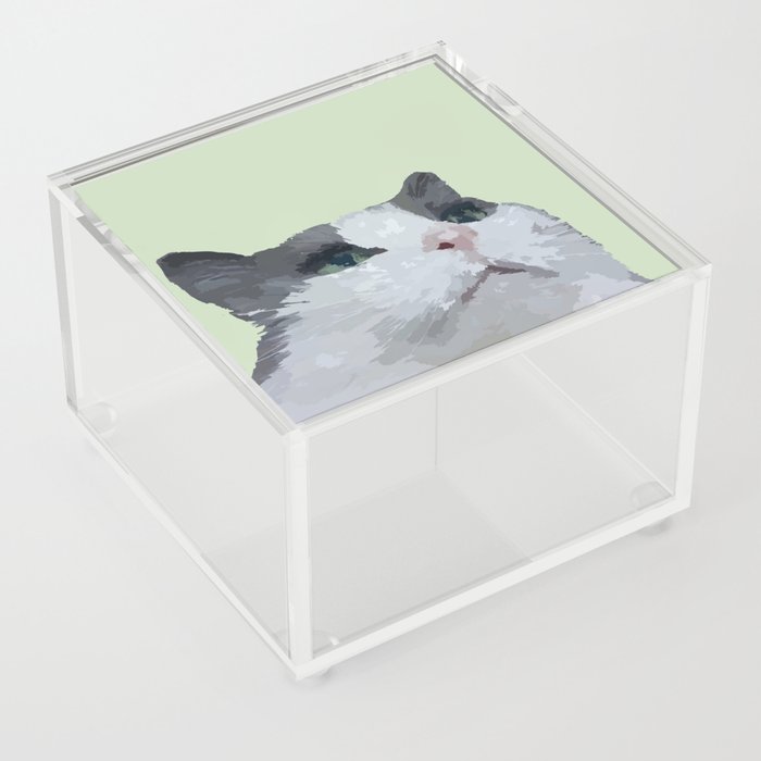 Existential cat - abstract green Acrylic Box