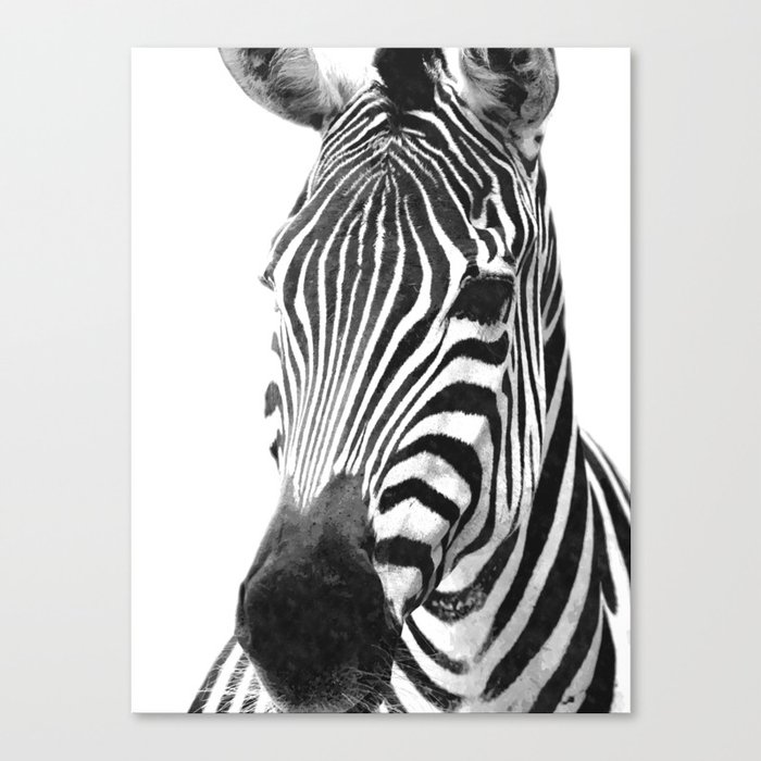 Black and white zebra illustration Canvas Print