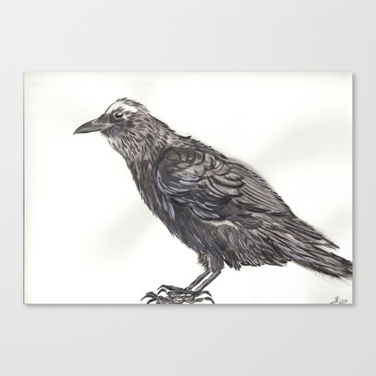 Watercolor Crow Canvas Print
